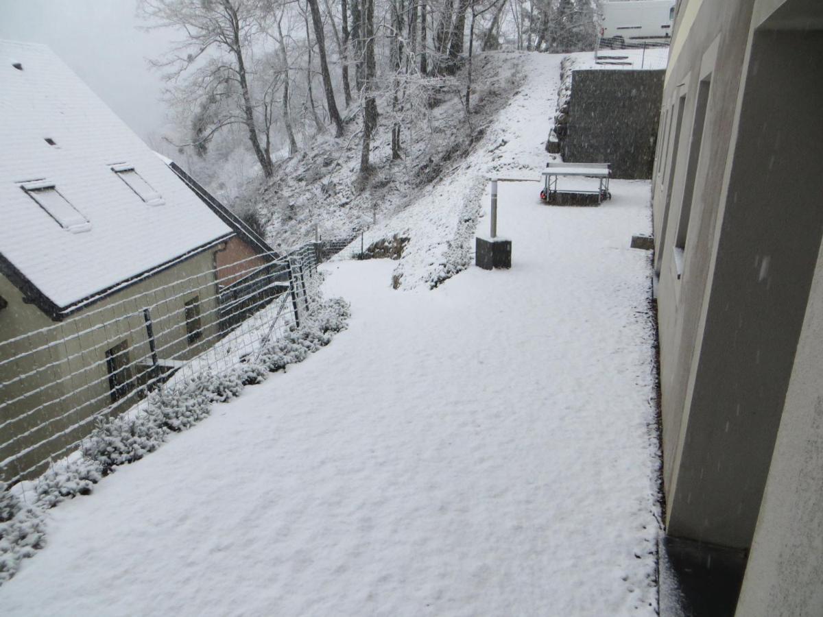 Domaine Du Sauveur Lägenhet Luz-Saint-Sauveur Exteriör bild